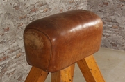 style Retro vintage gymnastics in Leather/metal/wood, European